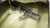 Industriële productie van cheddarkaas in een zuivelfabriek