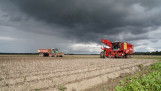 Oogst van aardappelen, akkerbouw