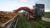 Oogst van peen (wortelen) op het akkerland met landbouwmachines.