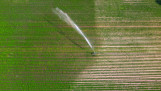 Luchtfoto van een aardappelperceel dat wordt beregend