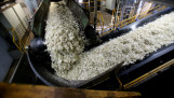 Suikerfabriek