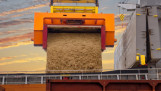 Bulklading ruwe suiker wordt met een transportband in het ruim van een schip geladen.