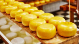 production de fromage