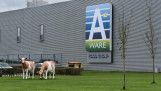 Royal A-ware Food Group in Heerenveen produceert kaas, verse zuivel, room en melkpoeder voor klanten wereldwijd