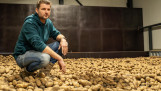 Andre Broeze, Chairman of the Potato Growers Committee (ATC) at Aviko, Dutch potato industry