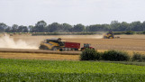 Tarwe wordt geoogst op een akkerbouwbedrijf in Frankrijk