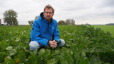 Een man met blauwe jas hurkt in een veld met bieten