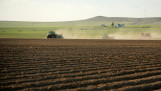 Aardappelen poten in Idaho
