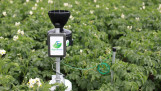 Een weerstation van AgroExact staat in een aardappelveld
