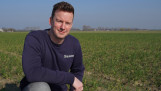 Een man knielt op een veld met uien