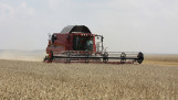 Combine tarwe dorsen