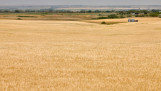 Prairie in Saskatchewan Canada voor de oogst