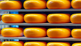 Nederlandse Gouda kaas