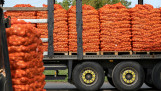 uienexport