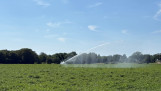 Aardappelen beregenen