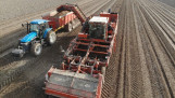 Landbouwmachines oogsten aardappelen op een groot akkerland.