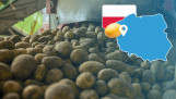 Oogstspecial Polen 1