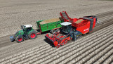 Aardappelrooier oogst aardappelen naast een tractor met volle kiepwagen.