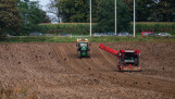Aardappeloogst in België