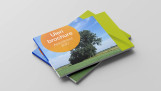 De Uien Brochure van Syngenta voor 2027