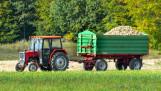 Aardappelen in Polen