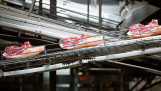 Danish Crown, varkensvlees productie