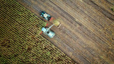 Luchtfoto van een maïsoogst waarbij een hakselaar de geoogste maïs in een aanhanger blaast die door een tractor wordt getrokken.