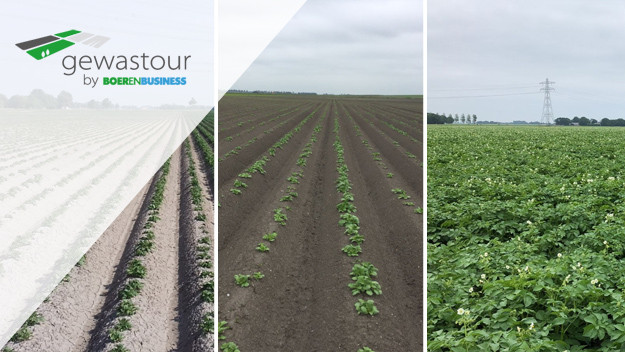 Innovator toont fiks verschil in groei - Special Gewastour week 23 - Boerenbusiness.nl