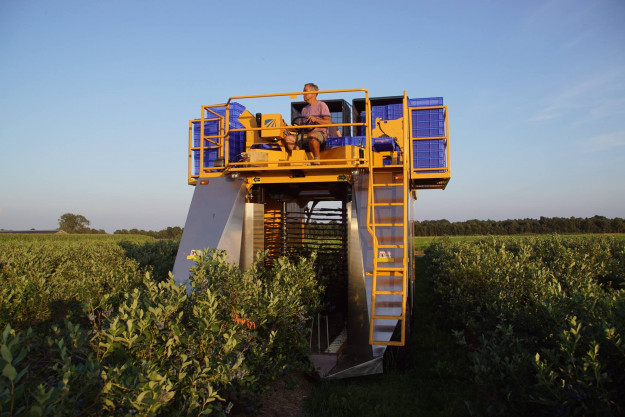 Niet alleen de graanoogst is aan zet - Fotoreportage Agrifoto.nl - Boerenbusiness.nl
