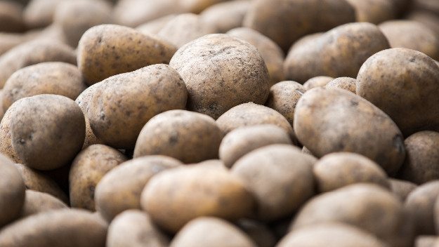Aardappelen drogen zonder kwaliteitsverlies - Aangeboden door ENGIE - Boerenbusiness.nl