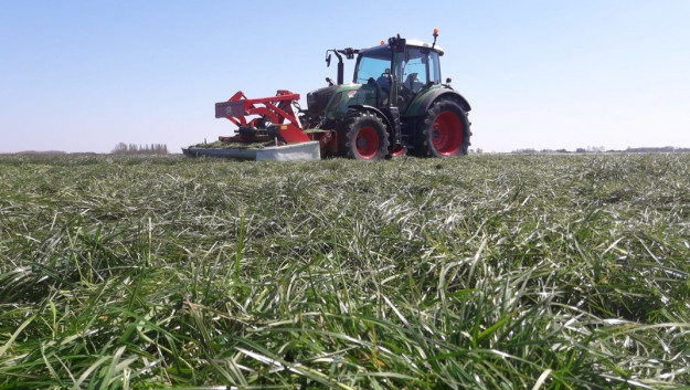 Eerste snede gras gemaaid en dit is de analyse - Ruwvoertour Week 17 - Boerenbusiness.nl