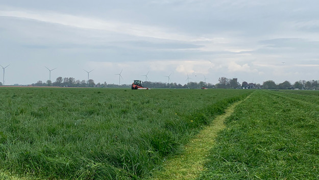 Keuzes maken in het maaien van eerste snede - Ruwvoertour Gras - Week 19 - Boerenbusiness.nl