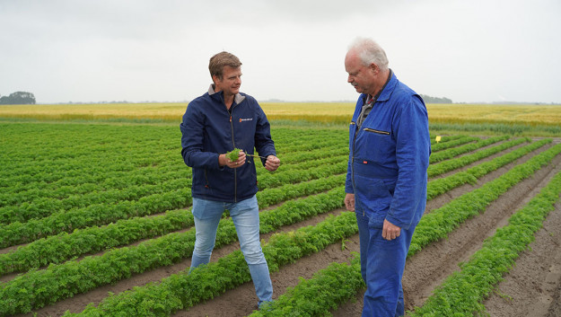 Peen kan ondersteuning Serenade prima gebruiken - Aangeboden door Bayer Cropscience - Boerenbusiness