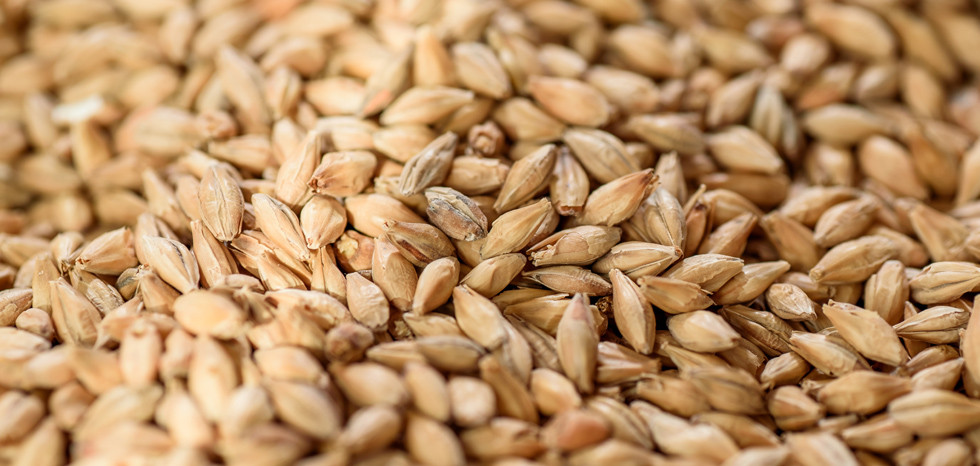 Handelsoorlog Met China Doet Australische Boer Pijn Nieuws Handelsoorlog Boerenbusiness Nl