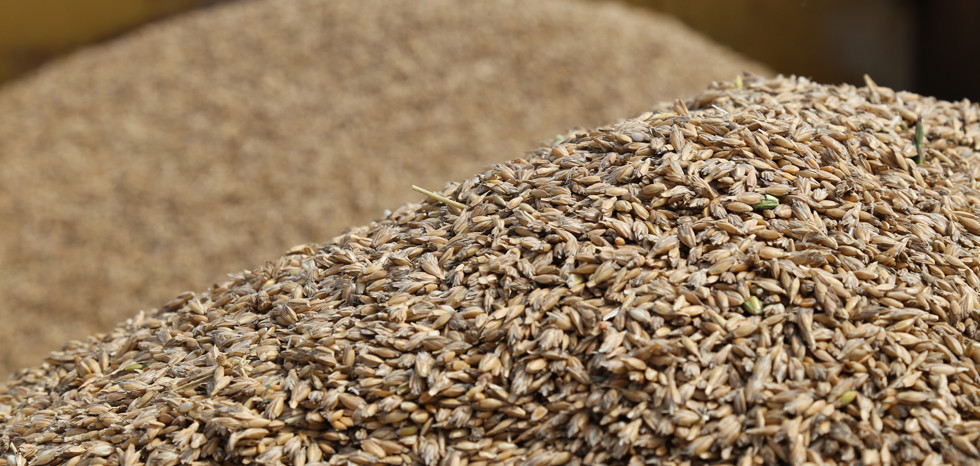 Czav Blij Met Graanprijzen Na Moeilijk Jaar Nieuws Granen Boerenbusiness Nl