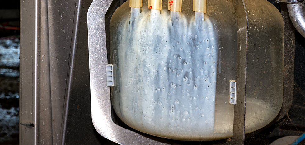 Duitse Melkaanvoer Eindigt Boven 5 Jarig Gemiddelde Inside Melk Boerenbusiness Nl